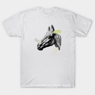 Horses Head, Tape, Moodboard Style Horse T-Shirt